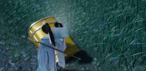 射雕手游特殊宝箱怎么获得 特殊宝箱获得方法