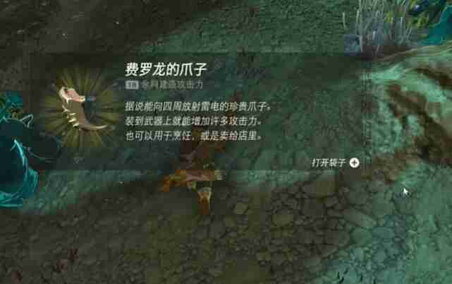 塞尔达费罗尼地区勇气之泉的女神像怎么过 迷你挑战费罗尼地区勇气之泉的女神像攻略