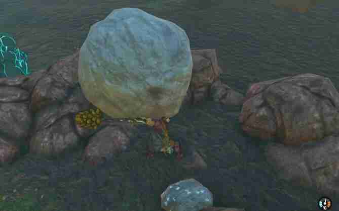 塞尔达阿卡莱地区奥尔汀大化石怎么过 迷你挑战阿卡莱地区奥尔汀大化石攻略