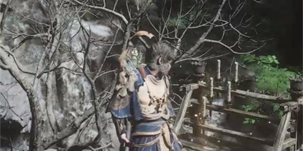 黑神话悟空虎蛇虫林崖头打坐点在什么位置 虎蛇虫林崖头打坐点位置分享