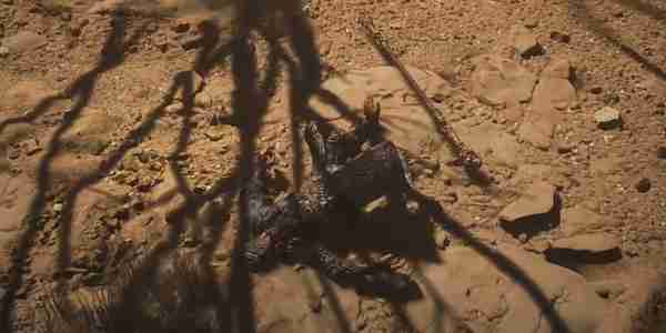 黑神话悟空受蕴如何获取 受蕴获取方法