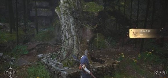 黑神话落伽香藤所有位置 黑神话悟空中香藤在落伽何处寻