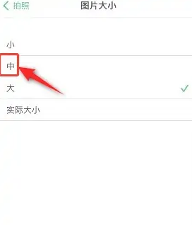 印象笔记思维导图怎么放大 印象笔记修改图片大小方法