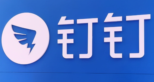 钉钉怎么设置不让别人查看我的行程 设置不让别人查看我的行程操作方法