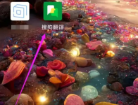 搜狗翻译如何打开快译狗 搜狗翻译开启快译狗悬浮球教程