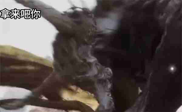 黑神话悟空晦月魔君怎么打 黑神话晦月魔君通关
