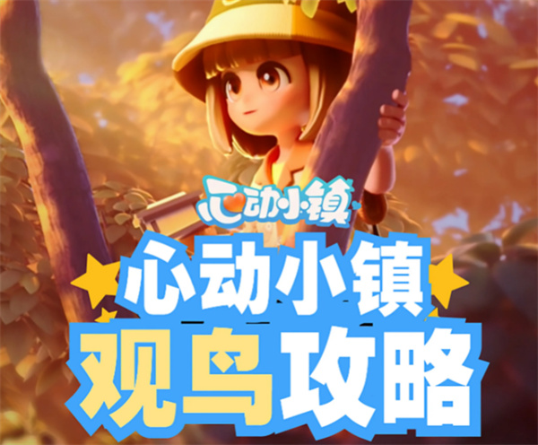 心动小镇观鸟图鉴 心动小镇观鸟注意事项
