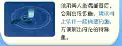 心动小镇钓鱼位置大全 心动小镇钓鱼攻略