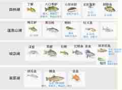 心动小镇钓鱼位置大全 心动小镇钓鱼攻略