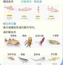 心动小镇钓鱼位置大全 心动小镇钓鱼攻略