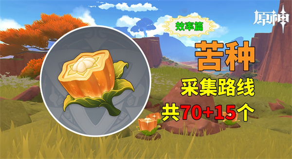 原神纳塔苦种在哪里 纳塔材料苦种采集路线