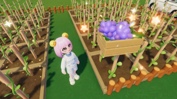 心动小镇葡萄酱能卖多少钱 葡萄酱售价介绍