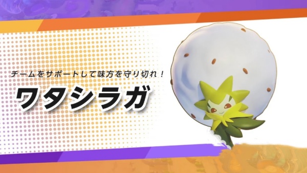 宝可梦大集结白蓬蓬徽章怎么搭配 白蓬蓬徽章搭配建议