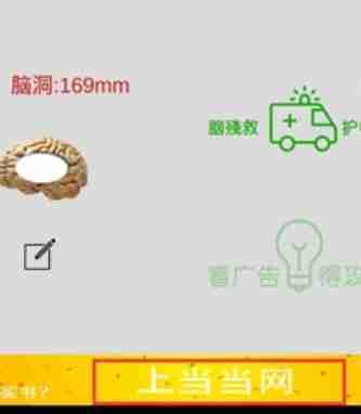 蠢蠢神大冒险人生冒险第10关怎么过 蠢蠢神大冒险人生冒险第10关图文攻略