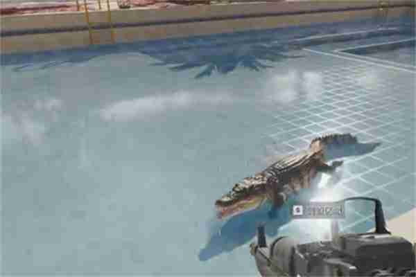 三角洲行动鳄鱼有什么作用 鳄鱼作用介绍