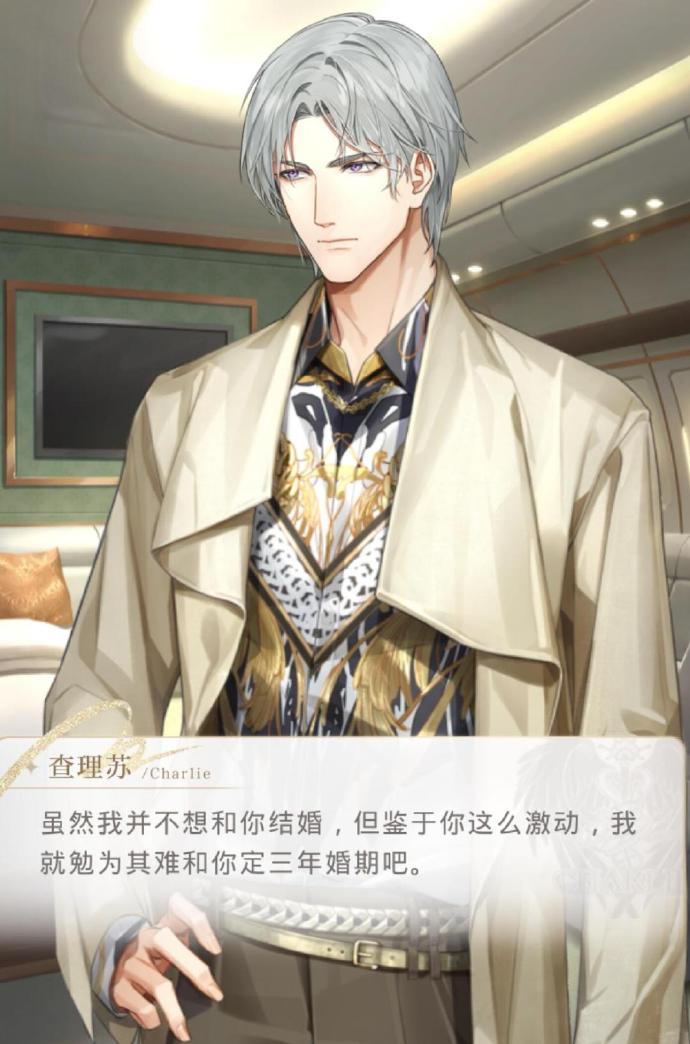 光与夜之恋盈仓储罐哪个最值得买