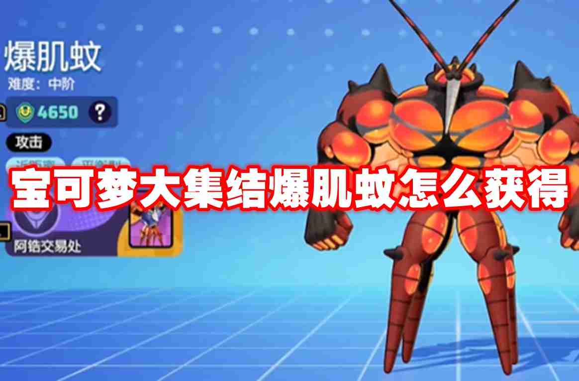 宝可梦大集结爆肌蚊怎么获得 宝可梦大集结爆肌蚊获得方法