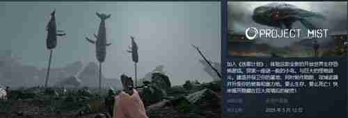 迷雾计划怎么更改中文 迷雾计划中文更改方法
