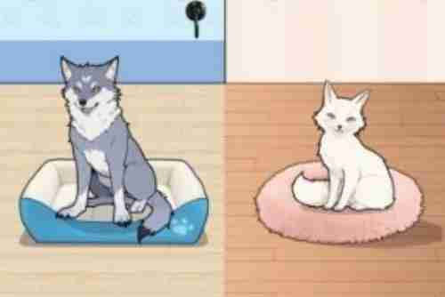 全民爆梗王动物报恩怎么过 全民爆梗王动物报恩攻略