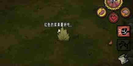 饥荒开局应该怎么玩