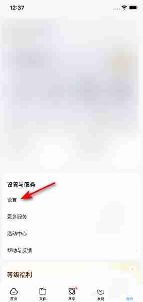 百度网盘怎么设置金色尊享图标 金色尊享图标设置方法