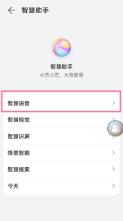 华为手机怎么设置实时字幕翻译_开启Ai字幕步骤介绍