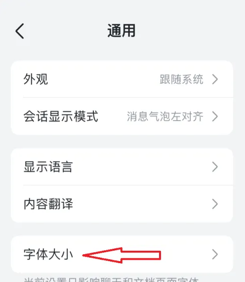 飞书怎么调整字体大小 调整字体大小操作方法