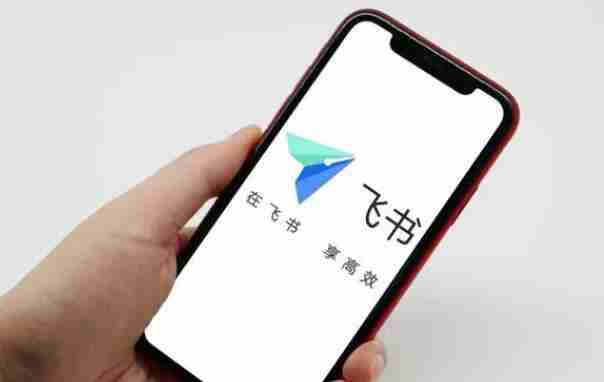 飞书怎么调整字体大小 调整字体大小操作方法