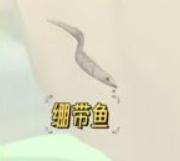 心动小镇绷带鱼如何收集 心动小镇绷带鱼获取方法