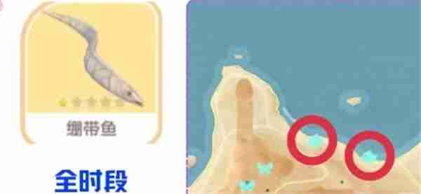 心动小镇绷带鱼如何钓鱼 绷带鱼钓鱼方法