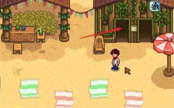 星露谷物语海盗湾如何进 海盗湾进入攻略