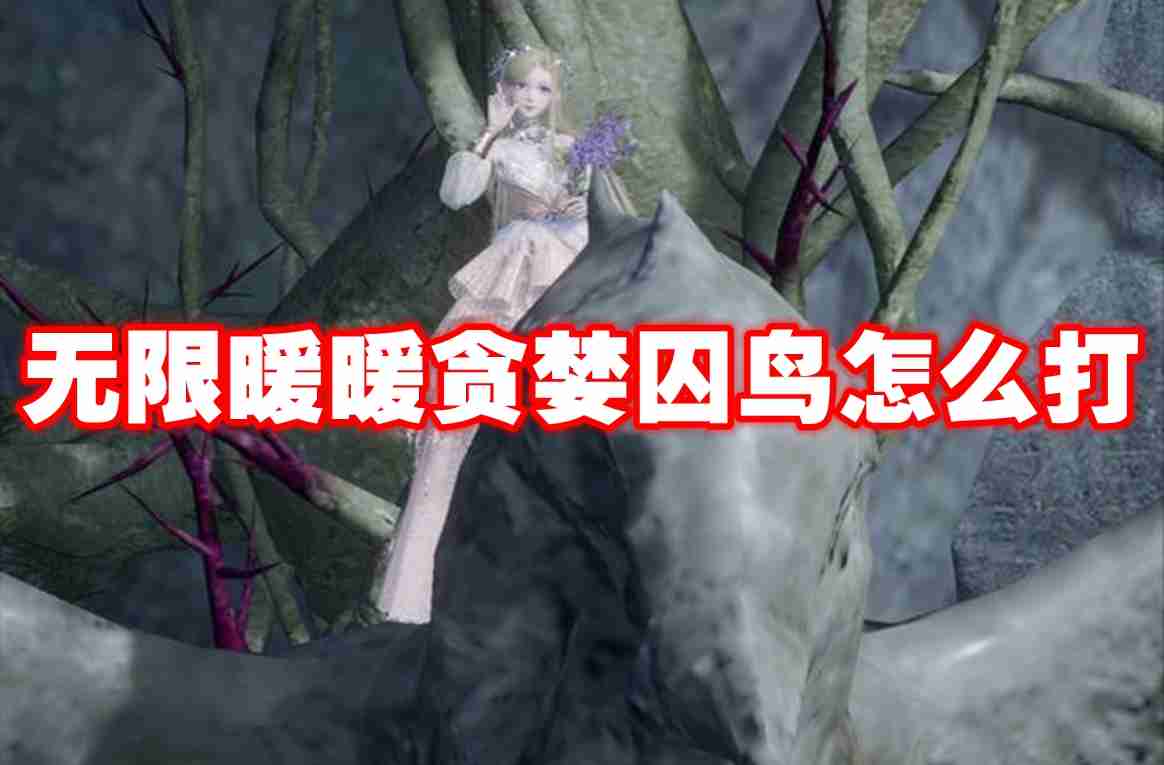 无限暖暖贪婪囚鸟怎么打 无限暖暖贪婪囚鸟打法攻略
