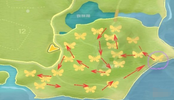 心动小镇金光宝石丽金龟怎么抓 金光宝石丽金龟捕捉攻略
