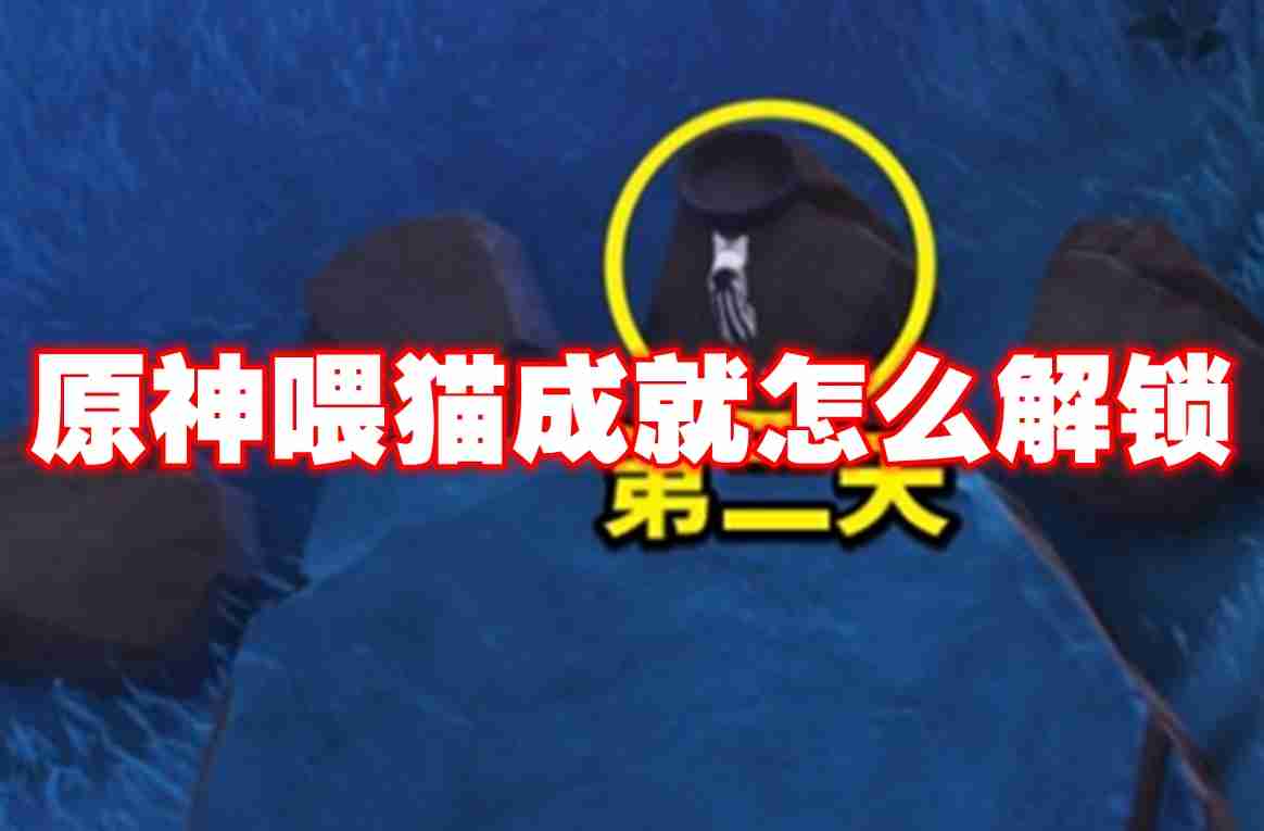 原神喂猫成就怎么解锁 原神喂猫成就解锁攻略
