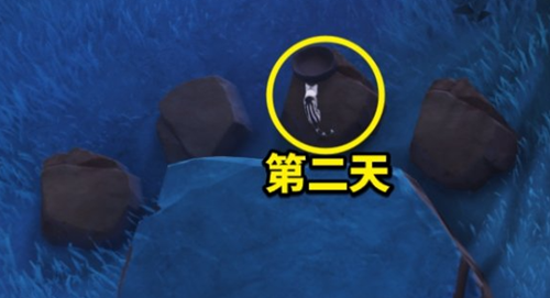 原神喂猫成就怎么解锁 原神喂猫成就解锁攻略