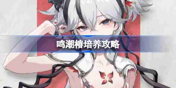 鸣潮椿培养攻略 鸣潮椿声骸武器阵容推荐
