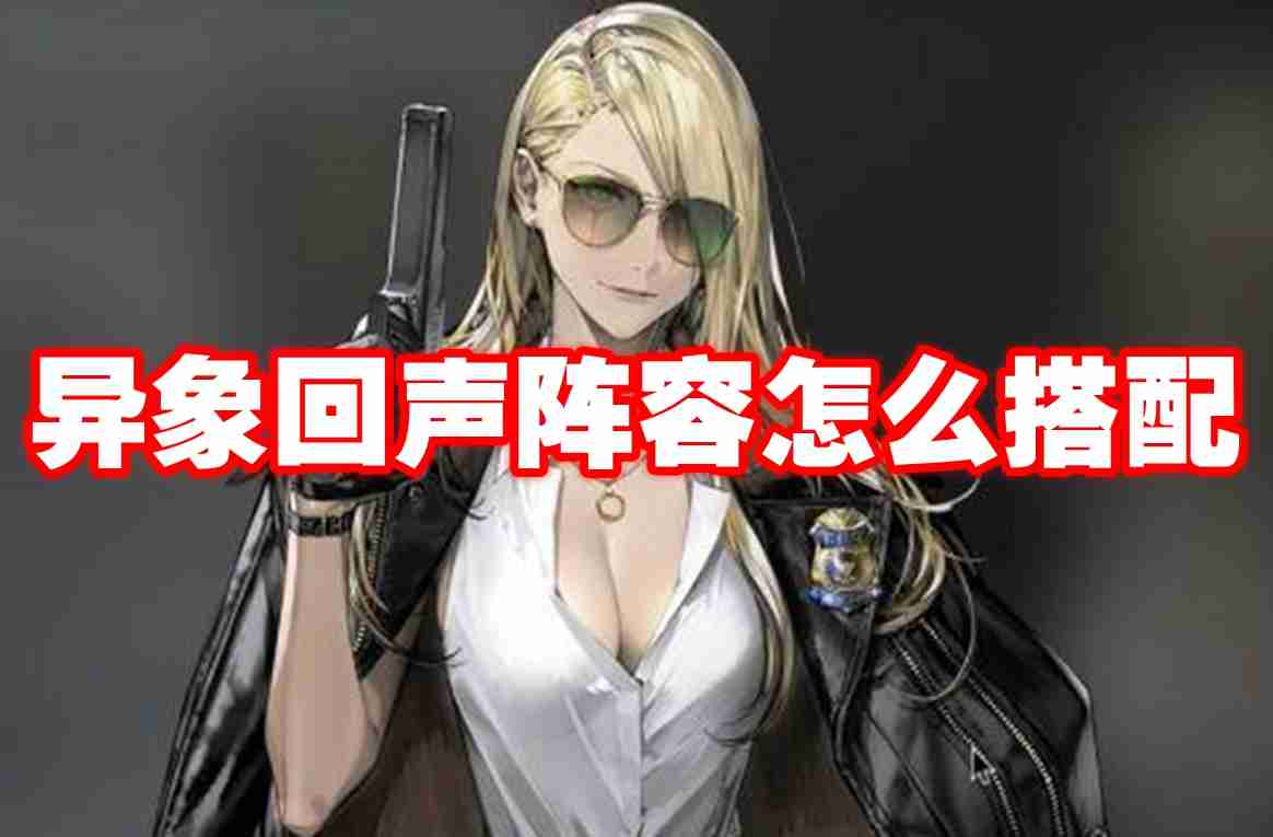 异象回声阵容怎么搭配 异象回声阵容搭配思路
