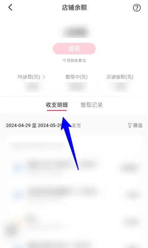 小红书千帆怎么查看收支明细 查看收支明细操作方法