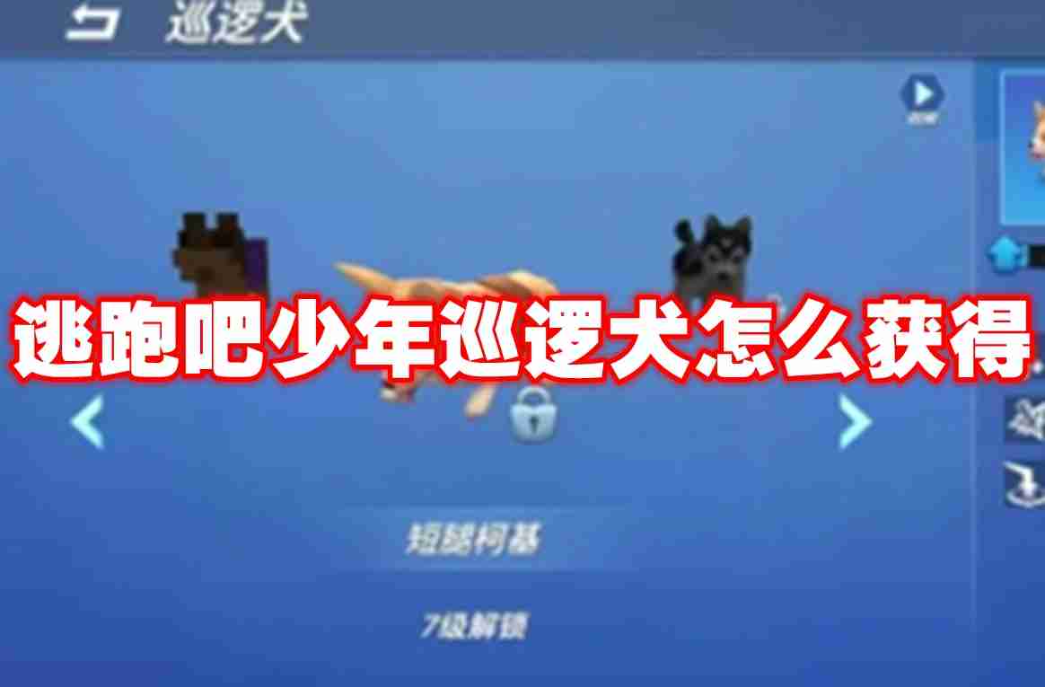逃跑吧少年巡逻犬怎么获得 逃跑吧少年巡逻犬获得攻略