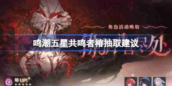 鸣潮五星共鸣者椿抽取建议 鸣潮五星共鸣者椿要不要抽