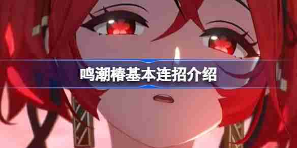 鸣潮椿基本连招介绍 鸣潮椿该怎么进行连招呢