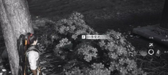 燕云十六声失窃的头坛饮任务怎么做 失窃的头坛饮任务攻略