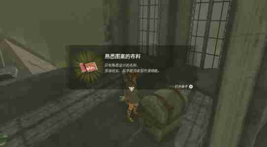 塞尔达王国之泪中文设置方案