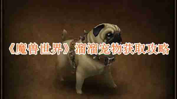 魔兽世界溜溜宠物怎么获得 魔兽世界溜溜宠物获取方法介绍
