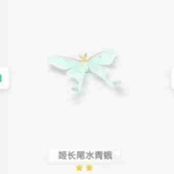 心动小镇姬长尾水青蛾位置在哪 心动小镇姬长尾水青蛾位置一览
