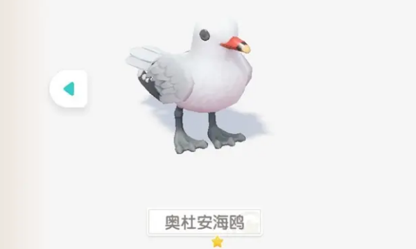 心动小镇奥杜安海鸥位置在哪 心动小镇奥杜安海鸥位置一览