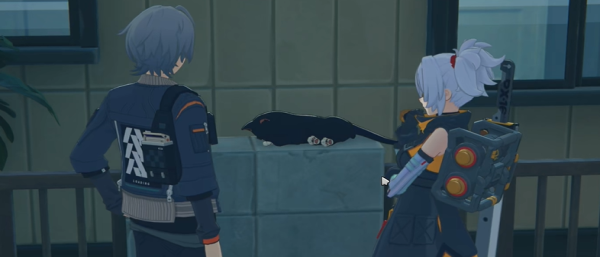 绝区零与小黑的共度时光任务怎么做 绝区零与小黑的共度时光任务完成技巧