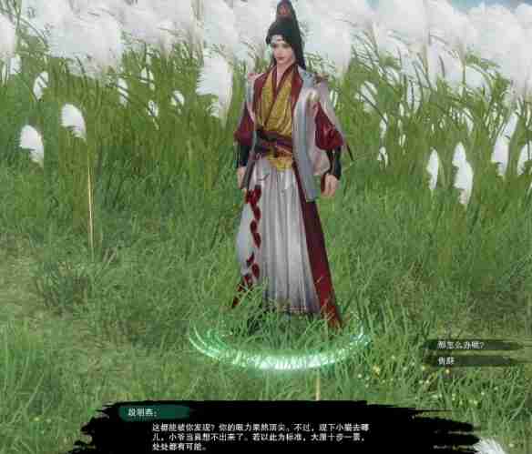 剑网3风花雪宠物奇遇怎么做 剑网3风花雪宠物奇遇详细流程奖励一览