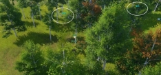 剑网3念旧林宠物奇遇怎么做 剑网3念旧林宠物奇遇详细流程奖励一览