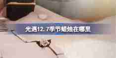 光遇12.7季节蜡烛在哪里 光遇12月7日季节蜡烛位置攻略